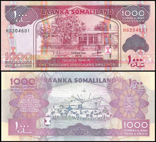 Buy Somaliland 1,000 Shillings Banknote